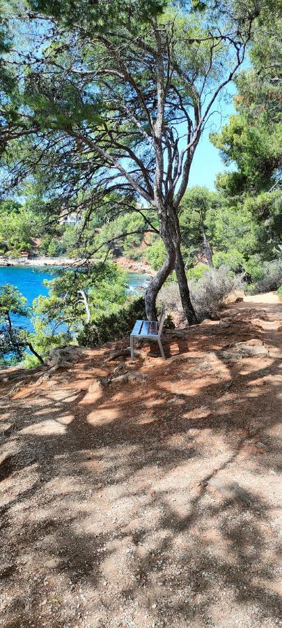 Apartmán Studio Vue Mer Bandol Exteriér fotografie